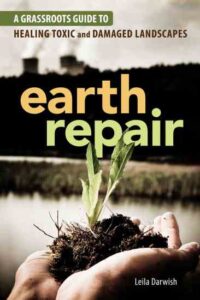 Why Bioremediation Is Scarce in Urban Gardens Image